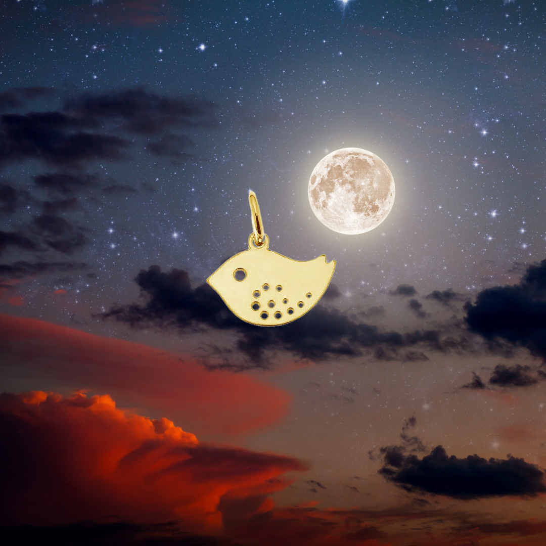 Lanț din argint cu pandantiv din argint - Pasăre